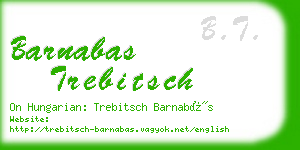 barnabas trebitsch business card